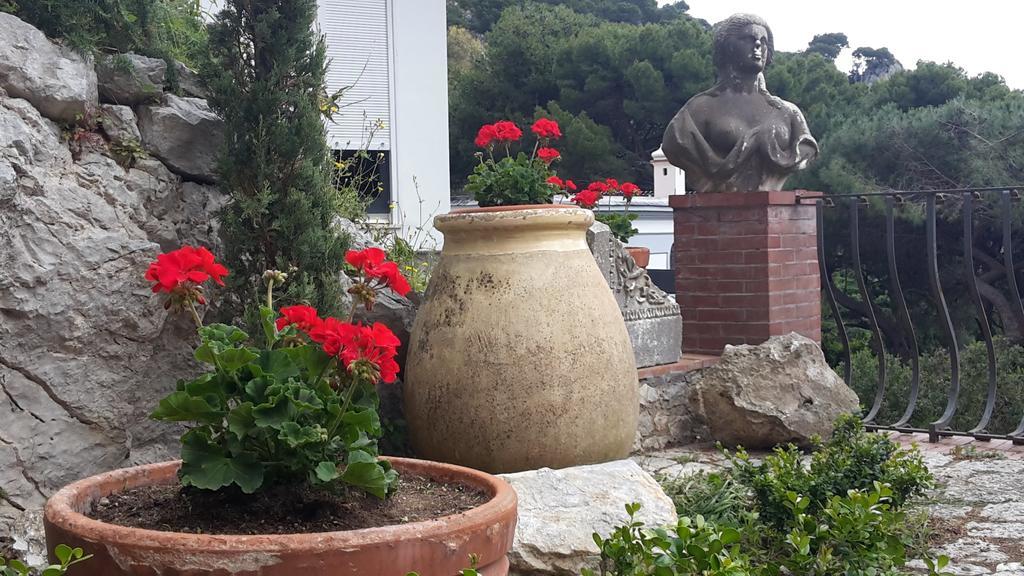 Bed & Breakfast Casa Del Solitario *
